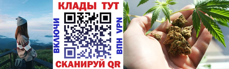 Где можно купить наркотики Грозный Гашиш  Псилоцибиновые грибы  Меф мяу мяу  Бошки Шишки  Cocaine  СОЛЬ 