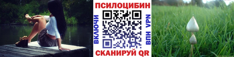 Псилоцибиновые грибы ЛСД Грозный